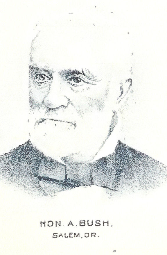 A. Bush