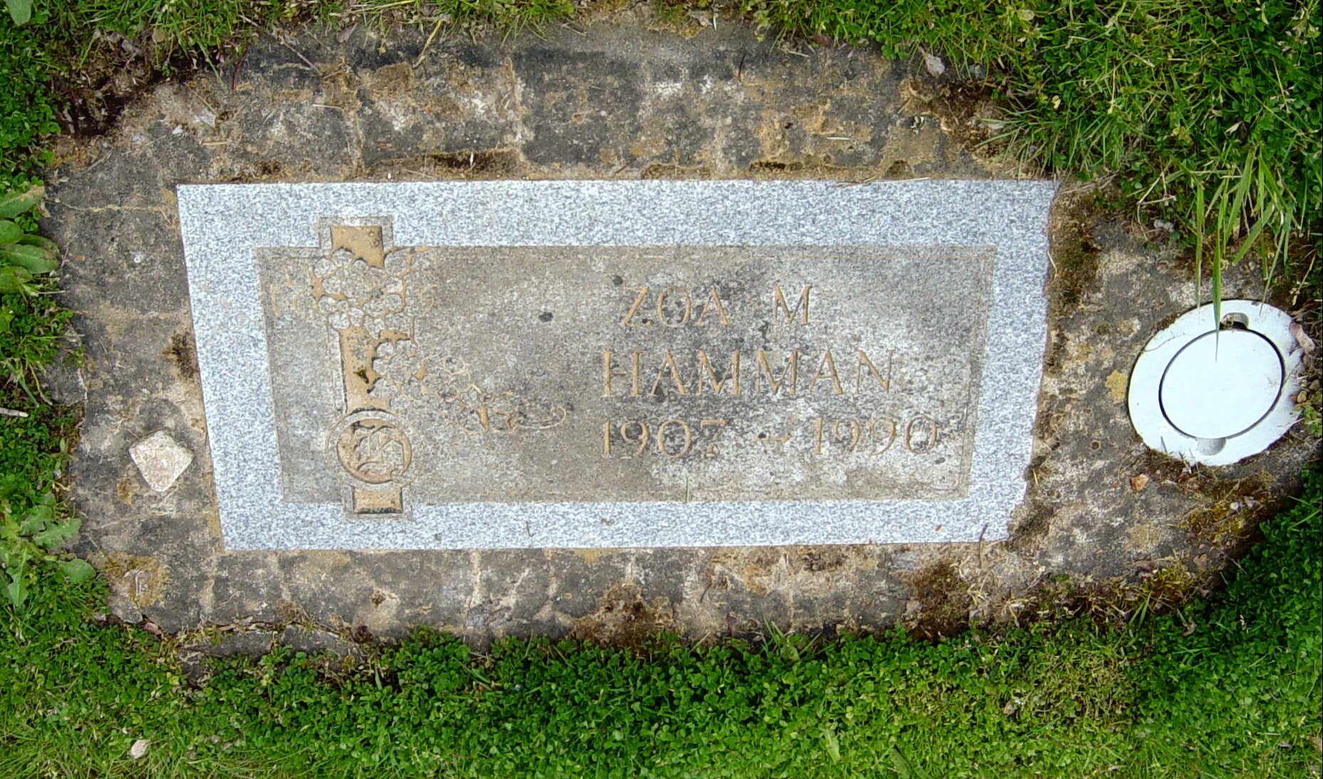 Os Hamman
